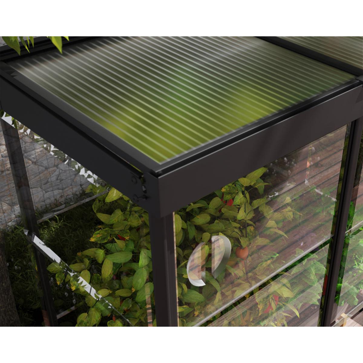 Ivy Polycarbonate Mini Greenhouse 4 x 2 ft. | Palram-Canopia-Delightful Yard