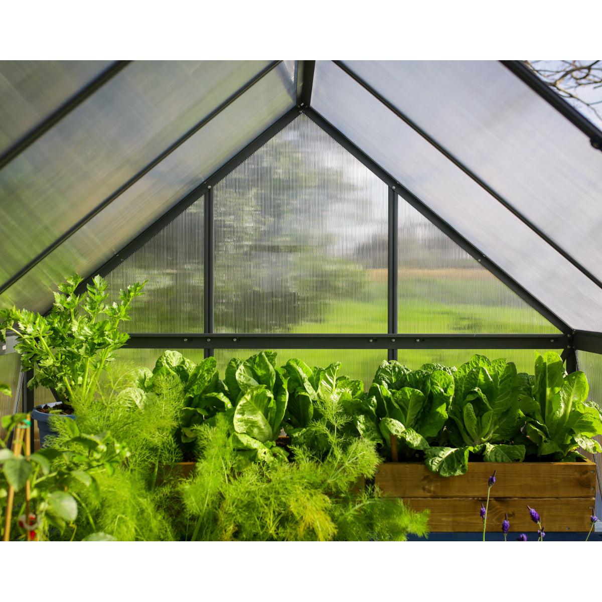 Mythos Polycarbonate Greenhouse 6 x 10 ft. Grey Frame | Palram-Canopia-Delightful Yard