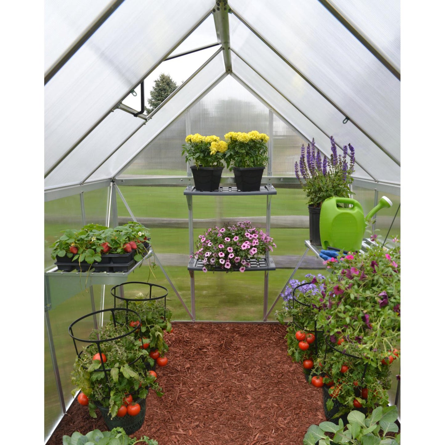 Mythos Polycarbonate Greenhouse 6 x 6 ft. Silver Frame | Palram-Canopia-Delightful Yard