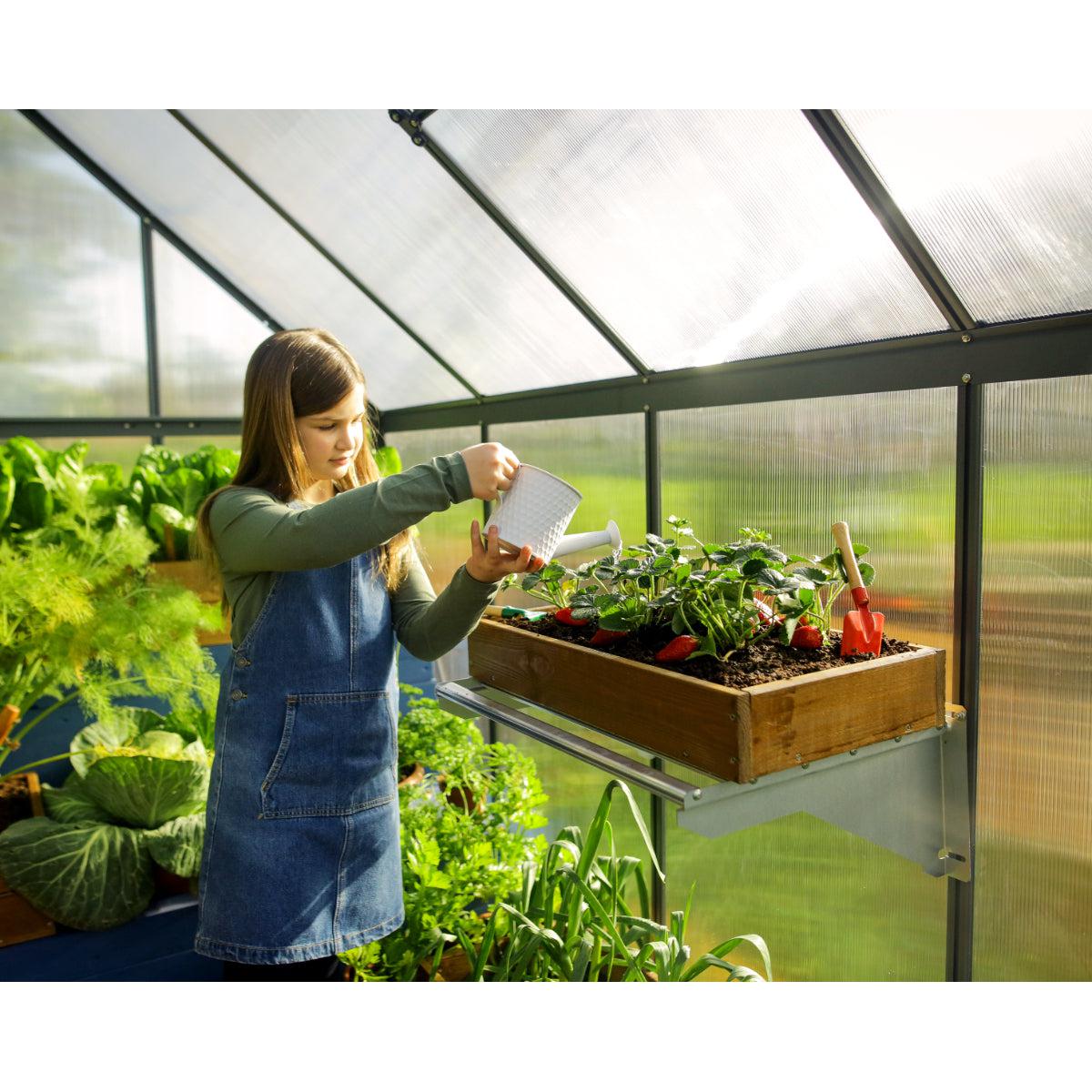 Mythos Polycarbonate Greenhouse 6 x 10 ft. Grey Frame | Palram-Canopia-Delightful Yard