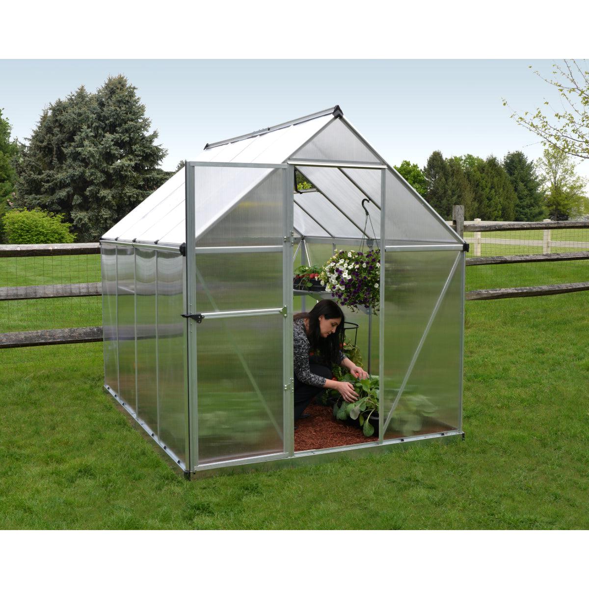Mythos Polycarbonate Greenhouse 6 x 8 ft. Silver Frame | Palram-Canopia-Delightful Yard