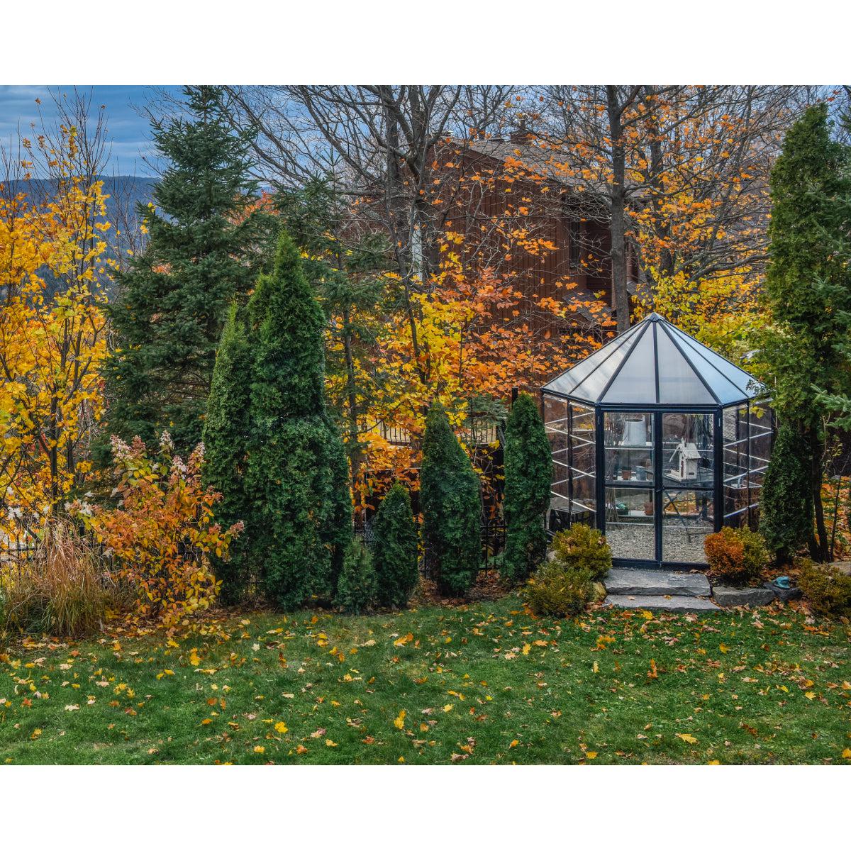 Oasis Hexagonal Polycarbonate Greenhouse Solarium 8 ft. | Palram-Canopia-Delightful Yard