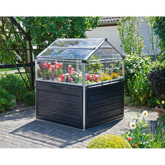 Plant Inn Polycarbonate Mini Greenhouse 4 x 4 ft. | Palram-Canopia-Delightful Yard