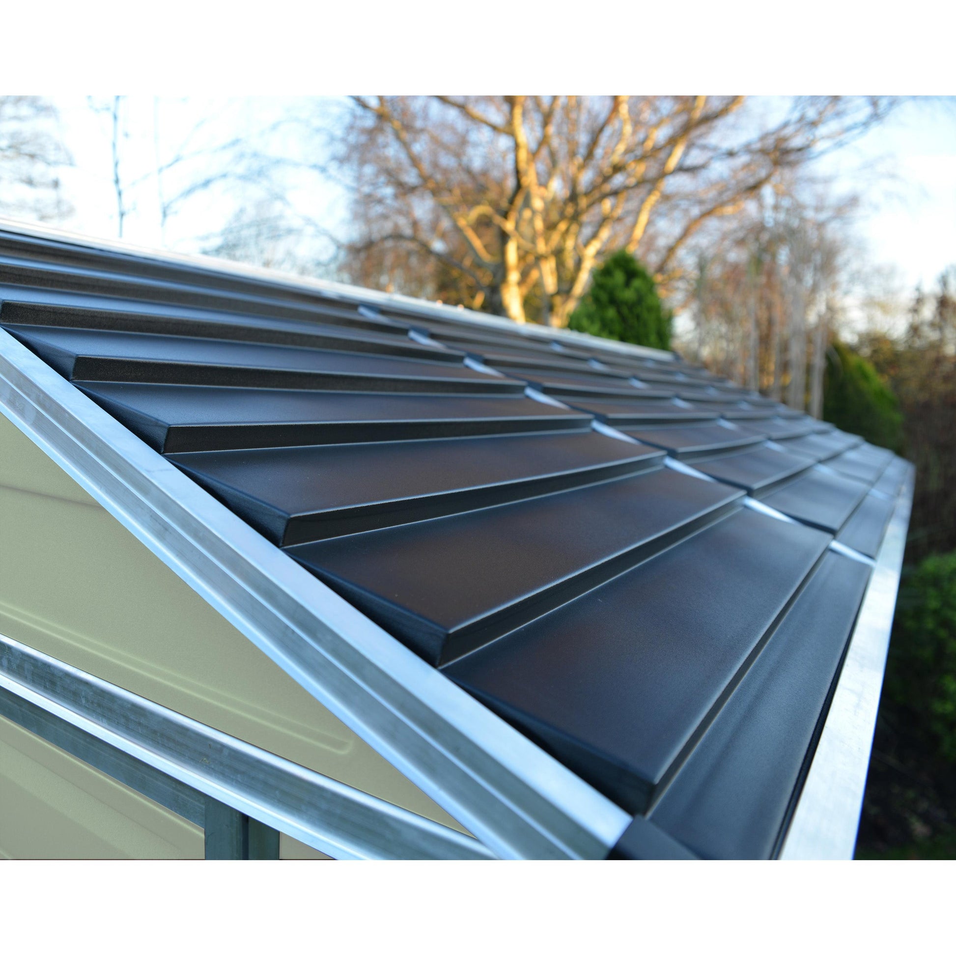 Skylight Shed 6 x 10 ft. Beige | Palram-Canopia-Delightful Yard