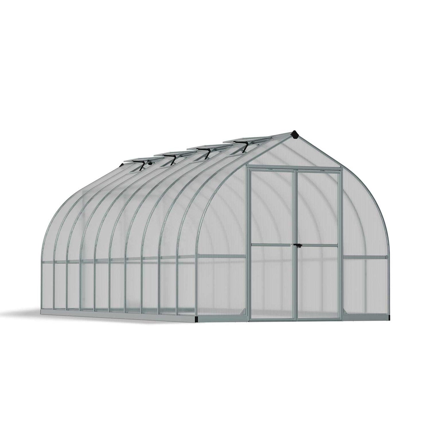 Bella Arch Greenhouse 8 x 20 ft. | Palram-Canopia - Delightful Yard