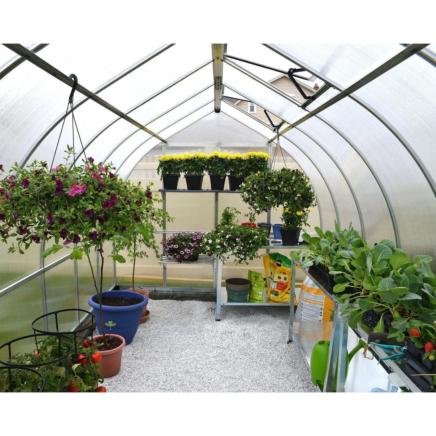 Bella Arch Greenhouse 8 x 8 ft. | Palram-Canopia - Delightful Yard