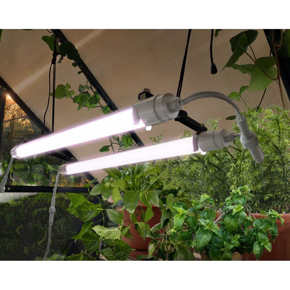 Full Spectrum LED Grow Light | Palram-Canopia-Delightful Yard