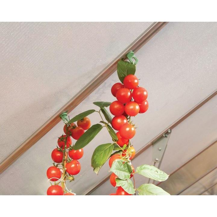 Greenhouse Plant Hanger Hooks | Palram-Canopia - Delightful Yard