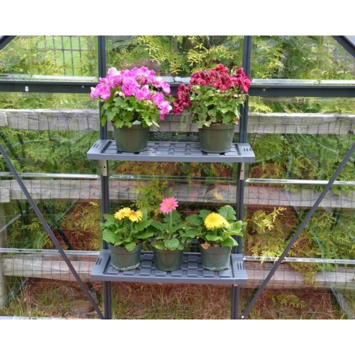 Greenhouse Twin Shelf Kit 4 ft. | Palram-Canopia - Delightful Yard