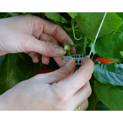 Greenhouse Trellising Kit Pro | Palram-Canopia - Delightful Yard