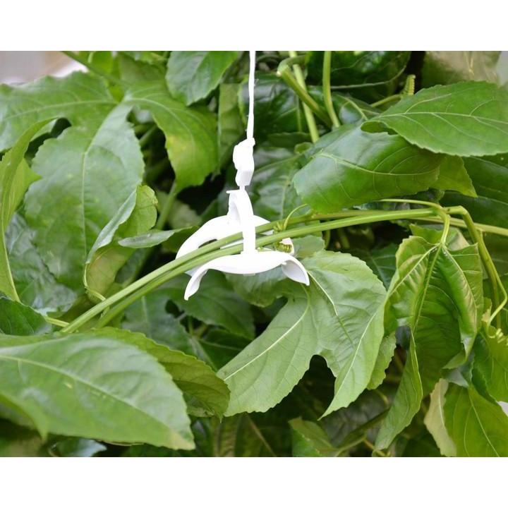 Greenhouse Trellising Kit Pro | Palram-Canopia - Delightful Yard