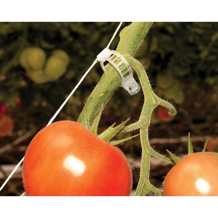 Greenhouse Trellising Kit Pro | Palram-Canopia - Delightful Yard