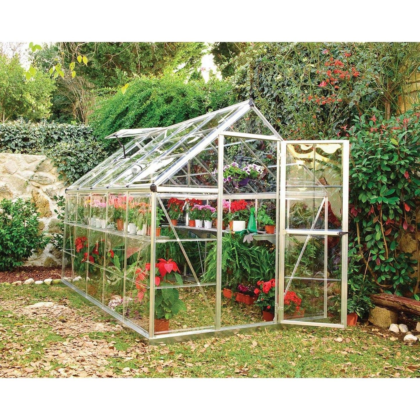Harmony Greenhouse 6 x 10 ft. | Palram-Canopia - Delightful Yard