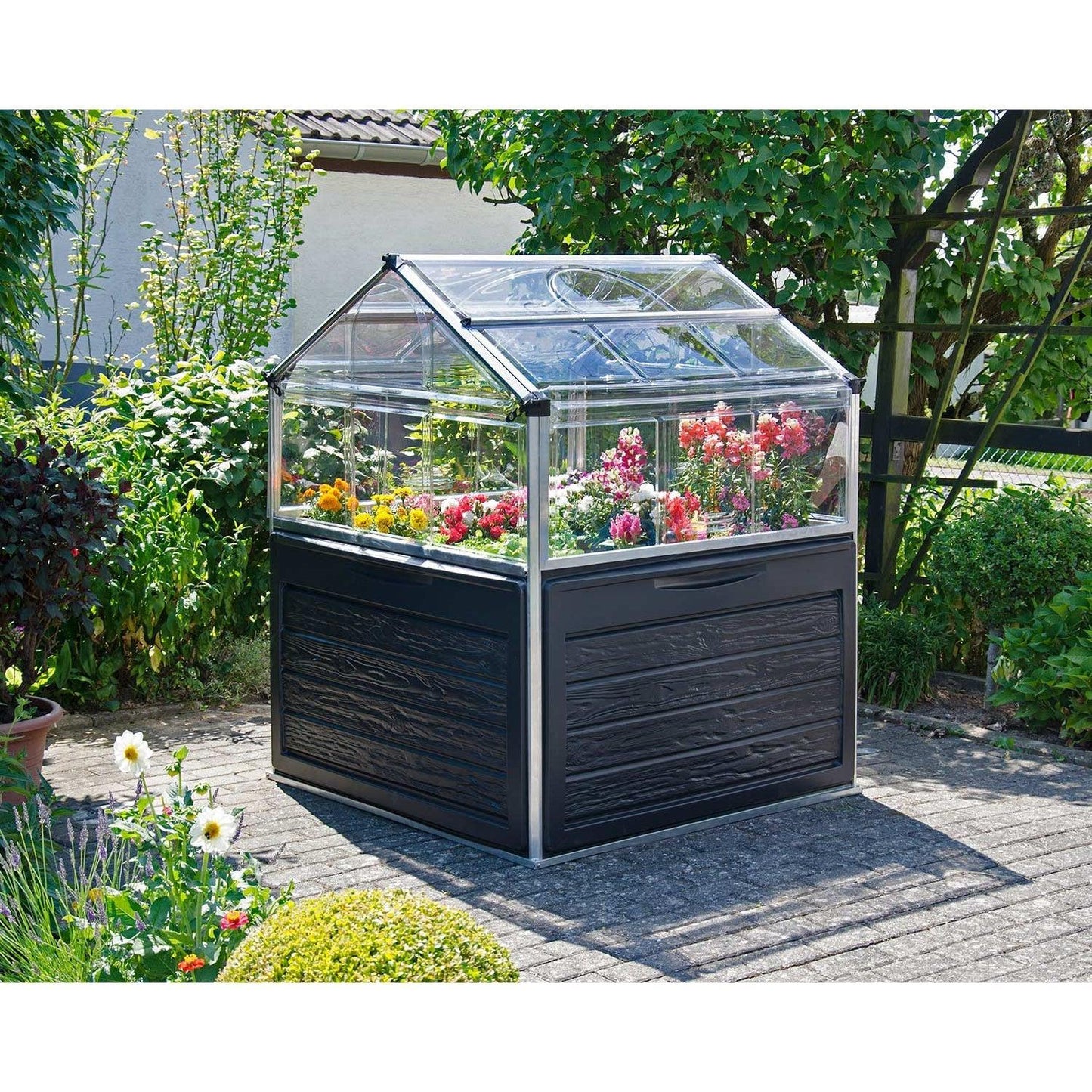 Plant Inn Mini Greenhouse 4 x 4 ft. | Palram-Canopia - Delightful Yard